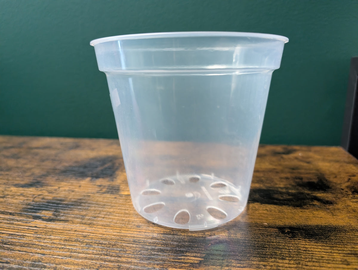 Transparent Nursery Pot - 7 Inch