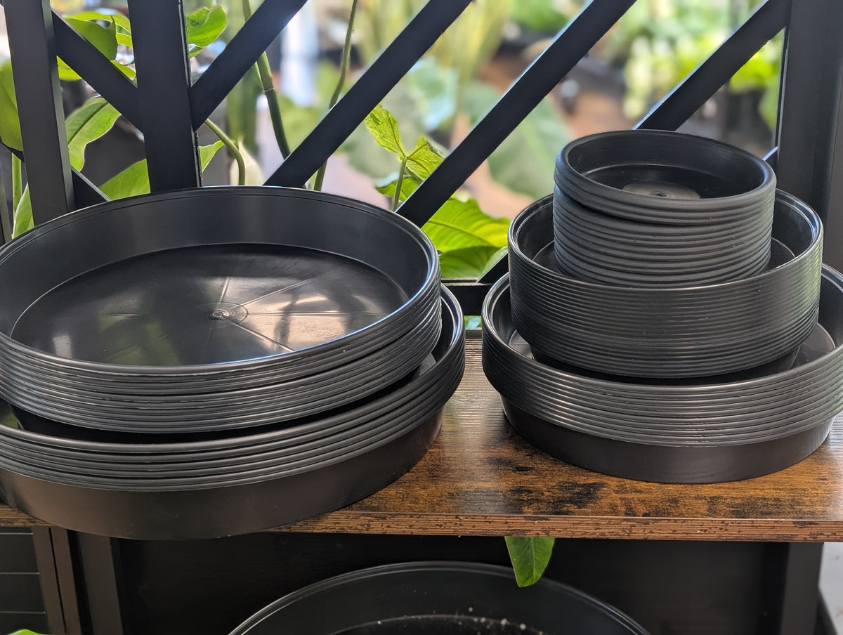 Black Plant Saucers - 8 Inch