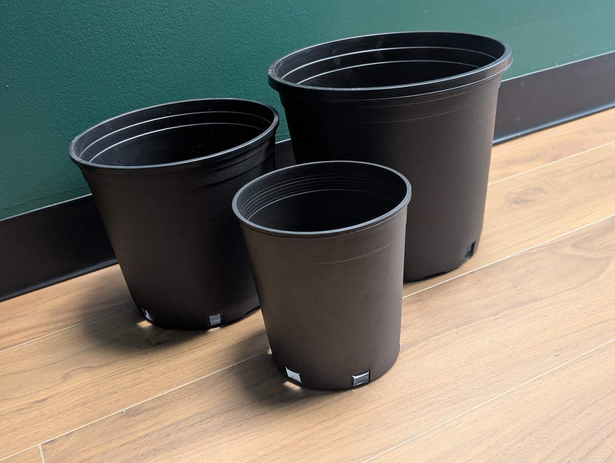 Nursery Pot Hard Wall Black 1 Gal
