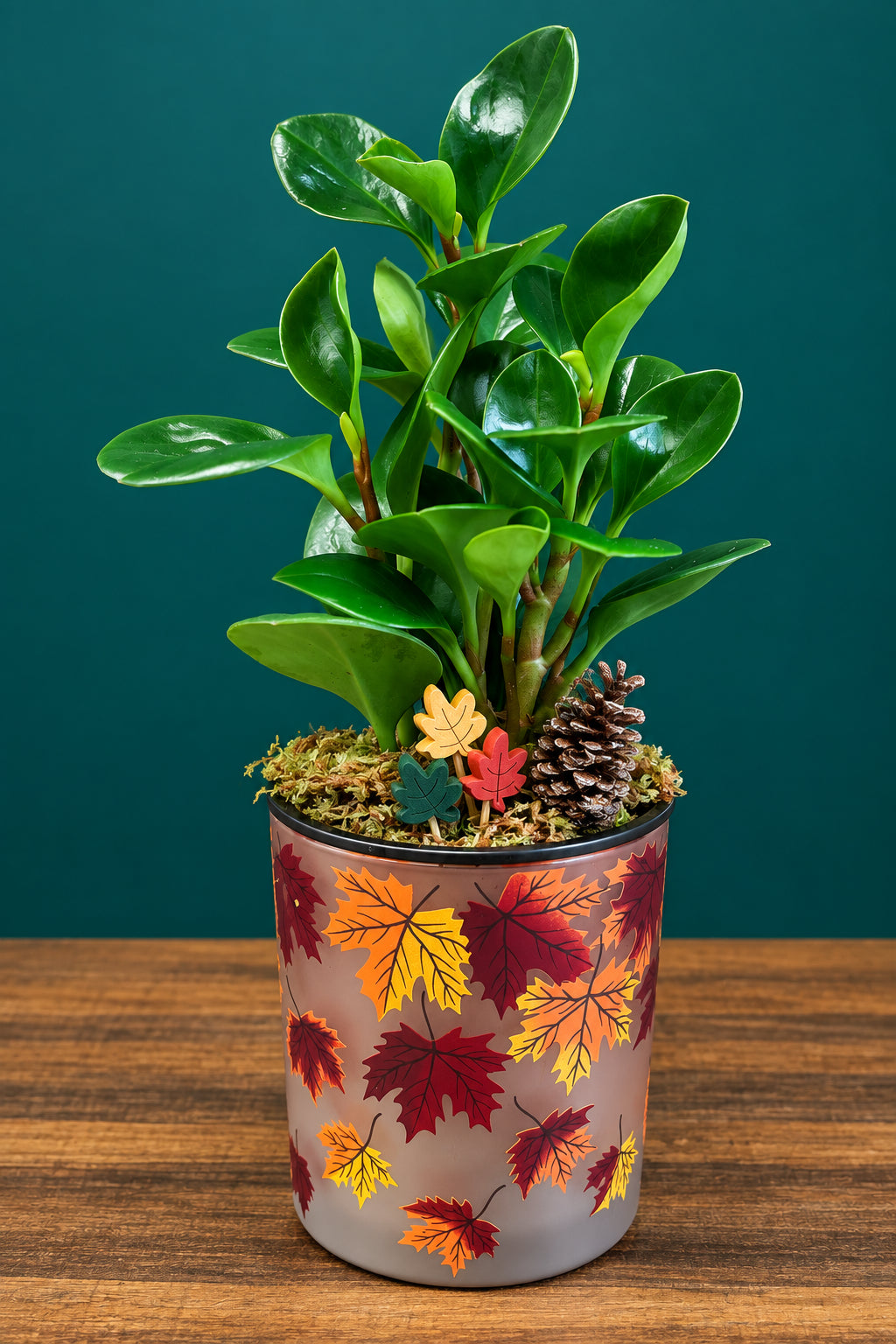 Autumn Leaves & Plants Please - Fall Arrangement