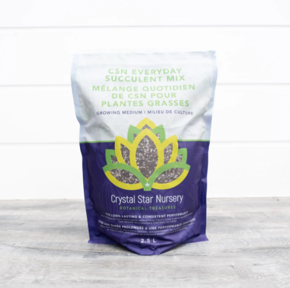 CSN Everyday Succulent Mix