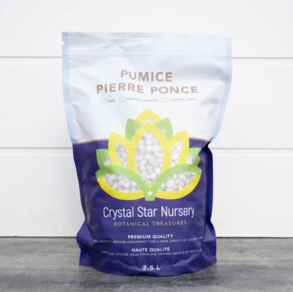 Pumice